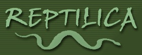 Reptilica